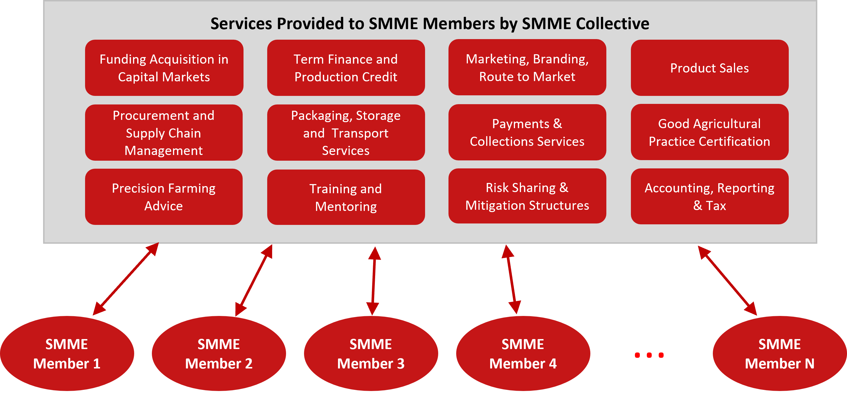 Services Provided to SMME Members by SMME Collective